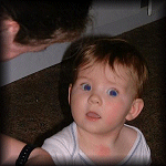 paddy/p9910-01a.jpg